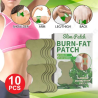Parche adelgazante para quemar grasa 10 PCS